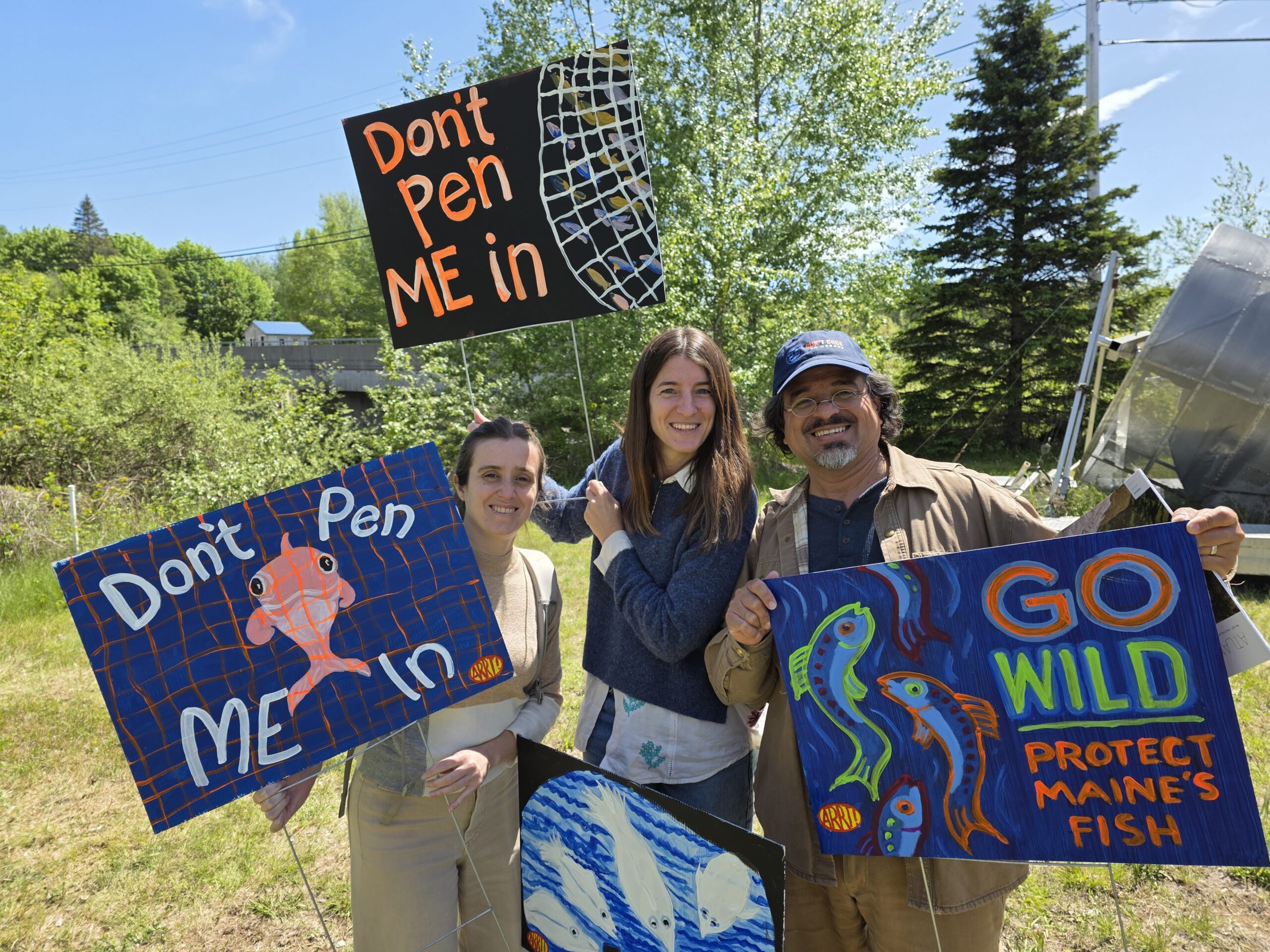 Featured image for “For All the Fish Brings Community Together in Maine”