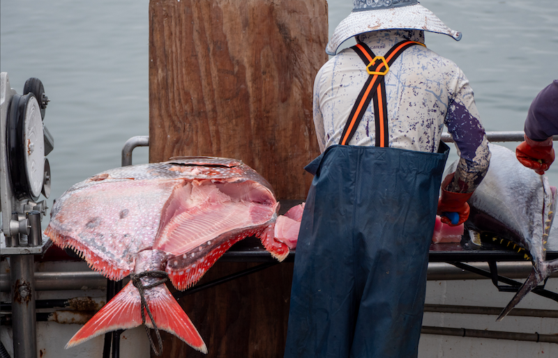 Featured image for “Weekly Recap, March 9-15: Mental Health for Maine Fishermen And More”