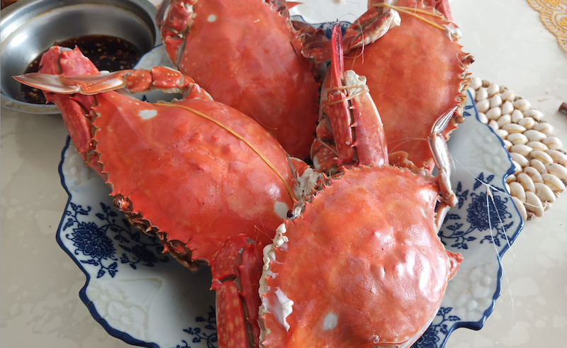 Featured image for “Racism and Opportunity in the Southern Seafood Industry”