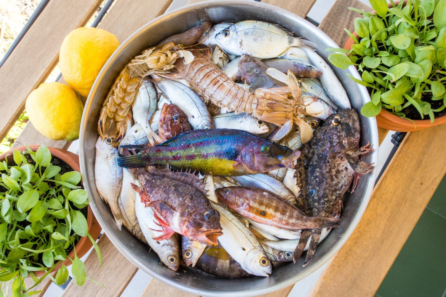 Seafood soup