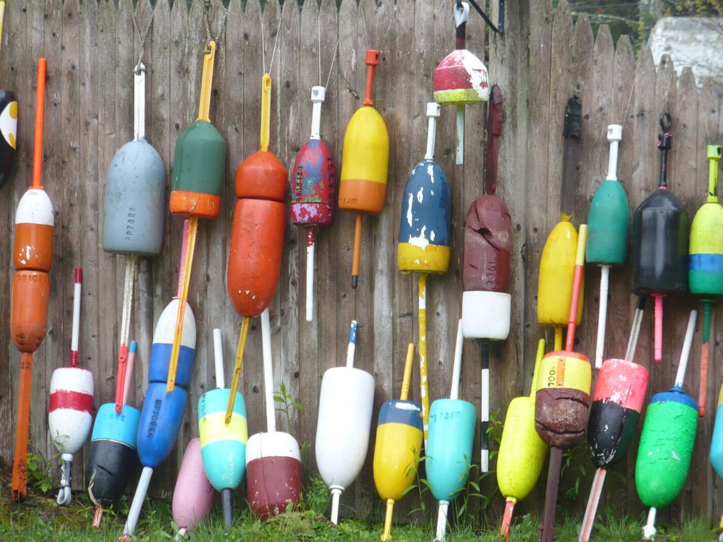 Weathered commercial fishing buoys hang against a wooden fence, displaying the colorful markings used to identify fishing gear at sea.
