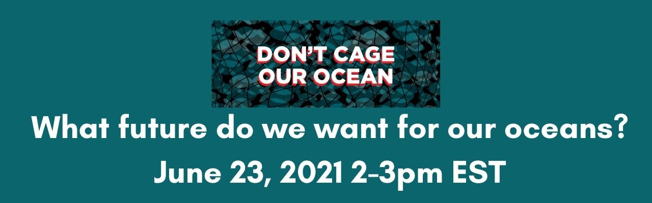 What future do we want for our oceans?