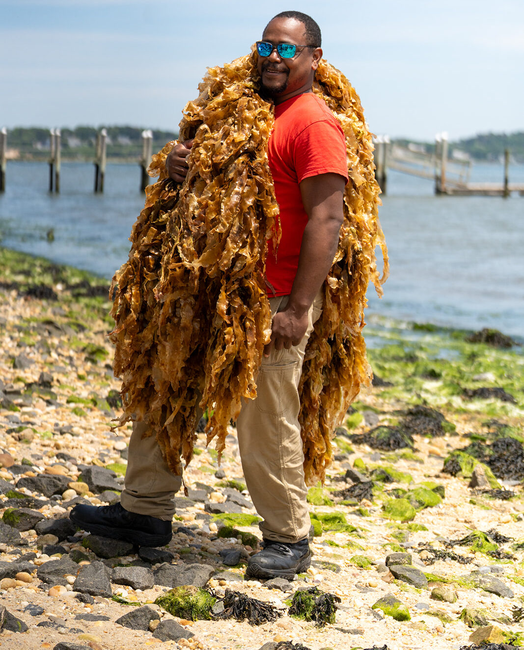 A Shinnecock kelp farmer stands on the shore wearing a large haul of seaweed over his arm.